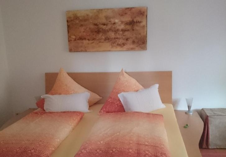 Appartement Haus Schnitzler à Wasserburg Extérieur photo